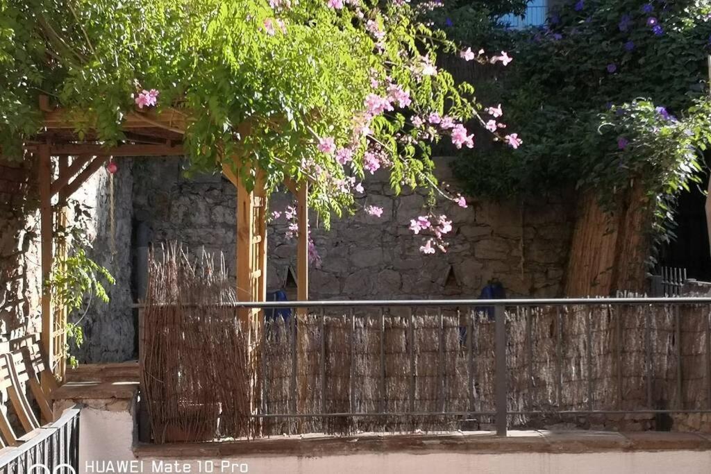 Appartement Avec Jardin Privatif Centre Ville Hyères Zewnętrze zdjęcie